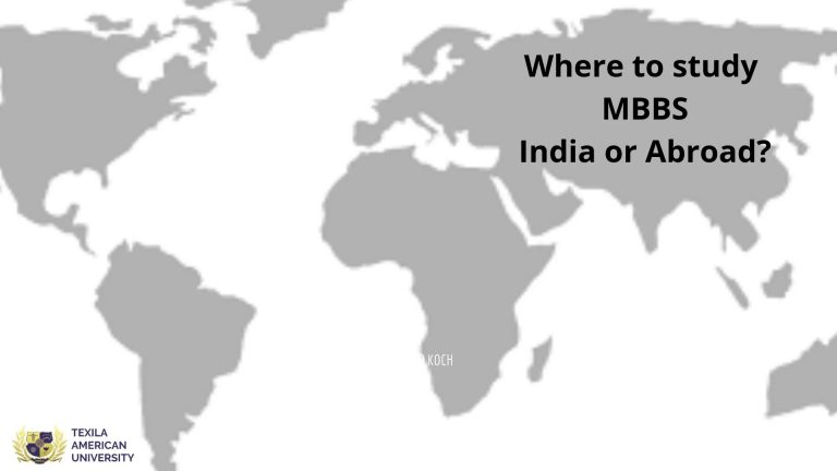 MBBS in Abroad or India clearing the dilemma