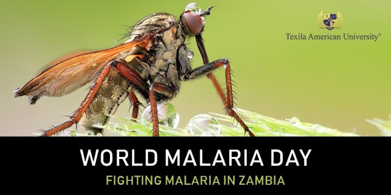 World-Malaria-Day-Zambia