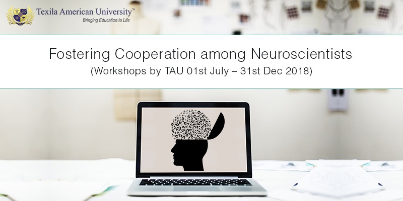 workshops-on-neuroscience