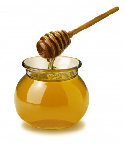 honey-kills-bacteria