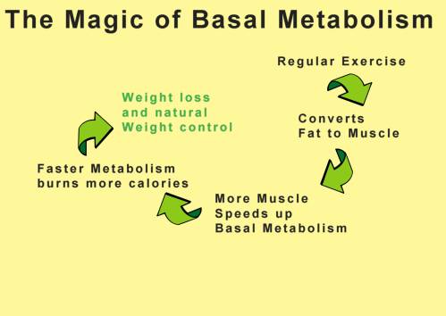 How to Boost Your Metabolism - EA Stewart, Integrative Registered Dietitian