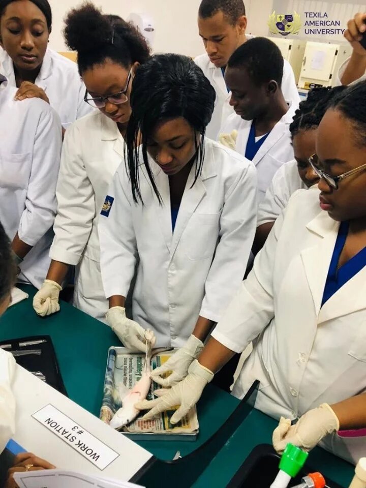 students-at-lab