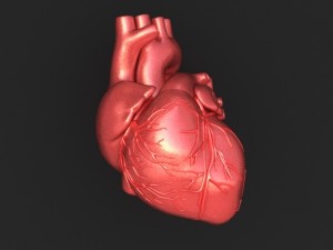 Human-Heart