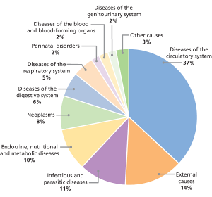 Health In Guyana - On A Road To Improved Healthcare