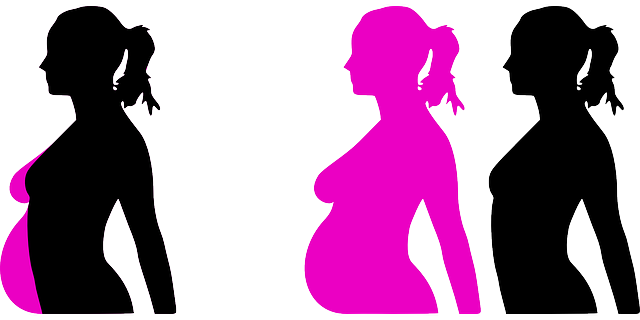 pregnancy-23889_640.png