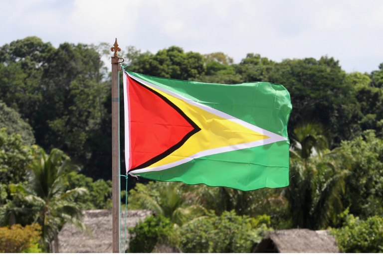 Top 8 Reasons to study MBBS in Guyana